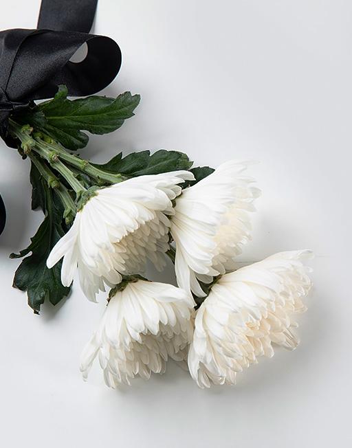 새고창 장례식장 인사말 - 흰 국화와 함께하는 장례 서비스